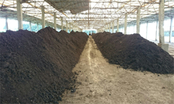 Industrial Organic Waste Consultancy